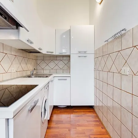 公寓 Borgo Vittorio Lovely House 罗马